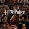 دانلود عکس هری پاتر Harry Potter - کارماتوس