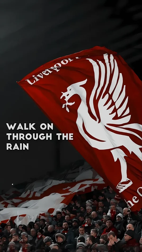 والپیپر لیورپول شب‌های جادویی آنفیلد