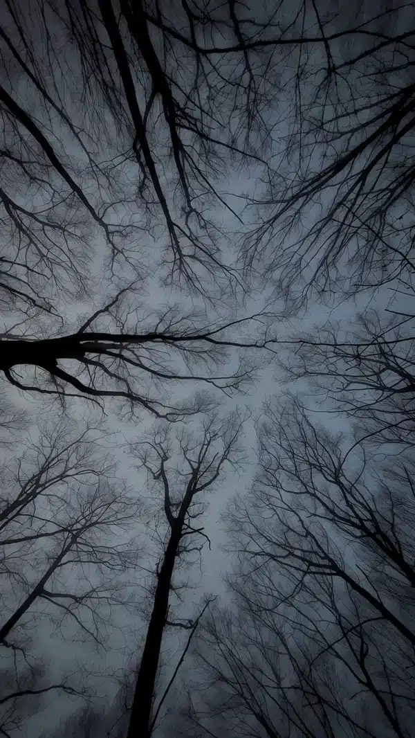 والپیپر 2026 با تِم تیره و حرفه‌ای - 4K