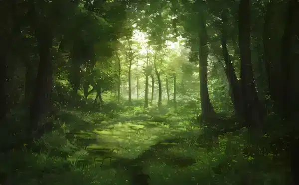 والپیپر جنگل سرسبز و شاداب