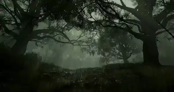 والپیپر جنگل مه‌آلود صبحگاهی