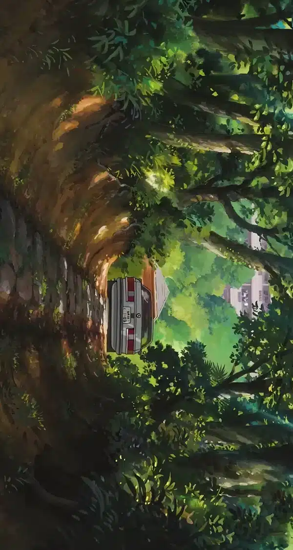 والپیپر جنگل با نور خورشید