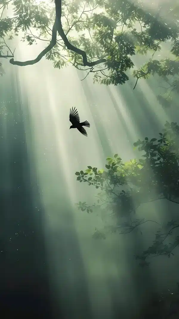 والپیپر جنگل با نور خورشید